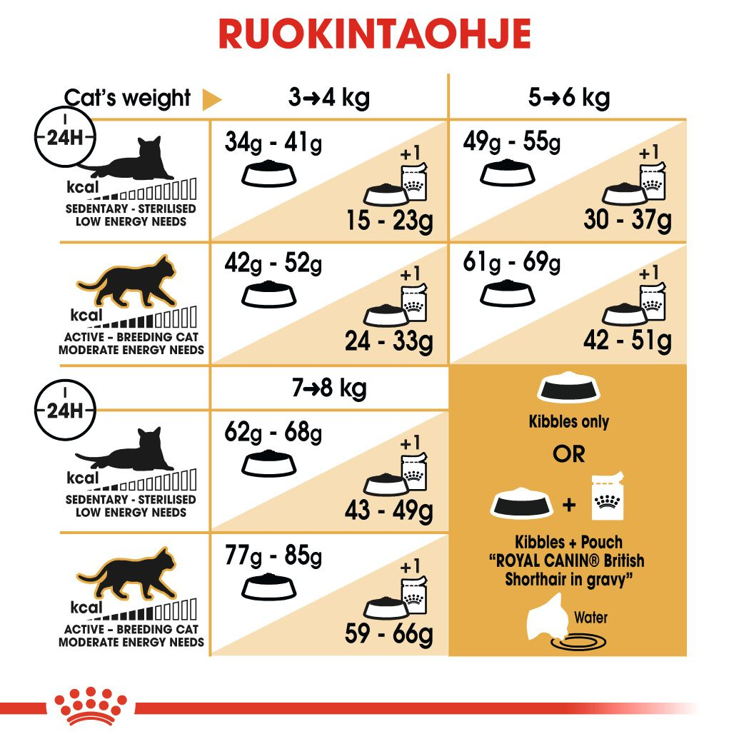 Royal Canin British Shorthair Adult kissan kuivaruoka