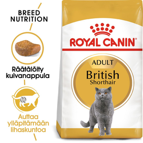 Royal Canin British Shorthair Adult kissan kuivaruoka