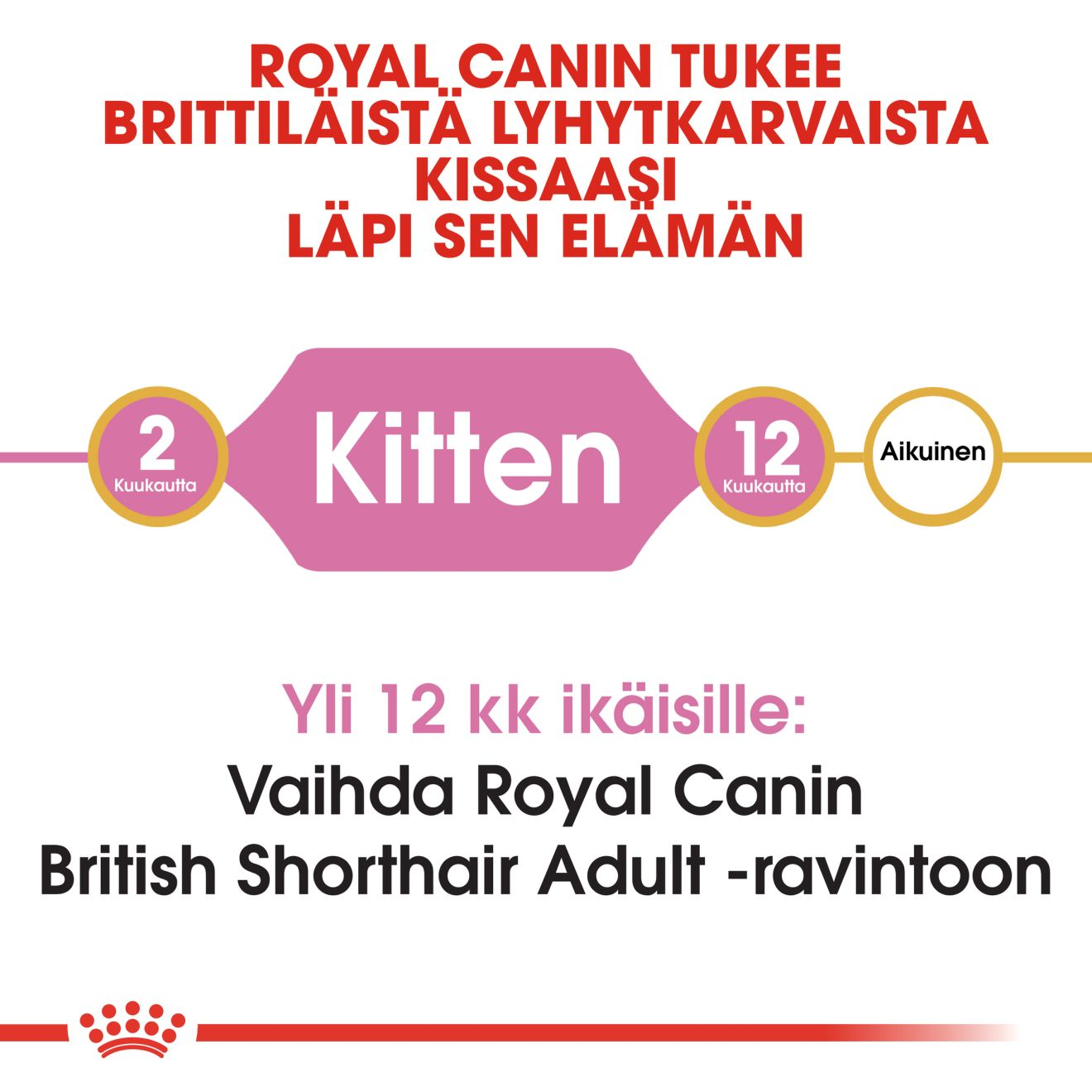 Royal Canin British Shorthair Kitten kissanpennun kuivaruoka