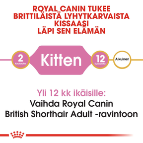 Royal Canin British Shorthair Kitten kissanpennun kuivaruoka