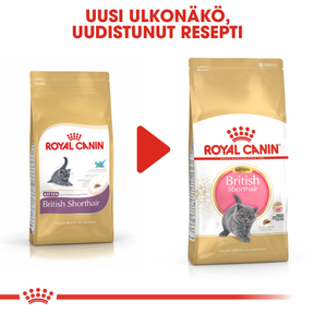 Royal Canin British Shorthair Kitten kissanpennun kuivaruoka