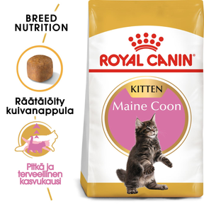 Royal Canin Maine Coon Kitten kissanpennun kuivaruoka