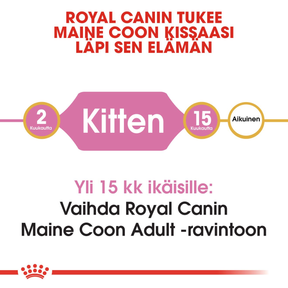 Royal Canin Maine Coon Kitten kissanpennun kuivaruoka