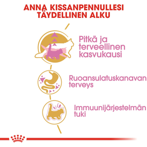 Royal Canin Maine Coon Kitten kissanpennun kuivaruoka