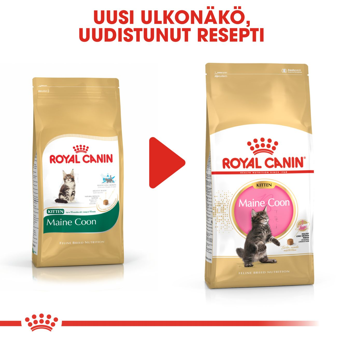 Royal Canin Maine Coon Kitten kissanpennun kuivaruoka