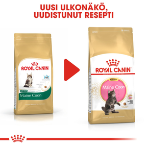 Royal Canin Maine Coon Kitten kissanpennun kuivaruoka