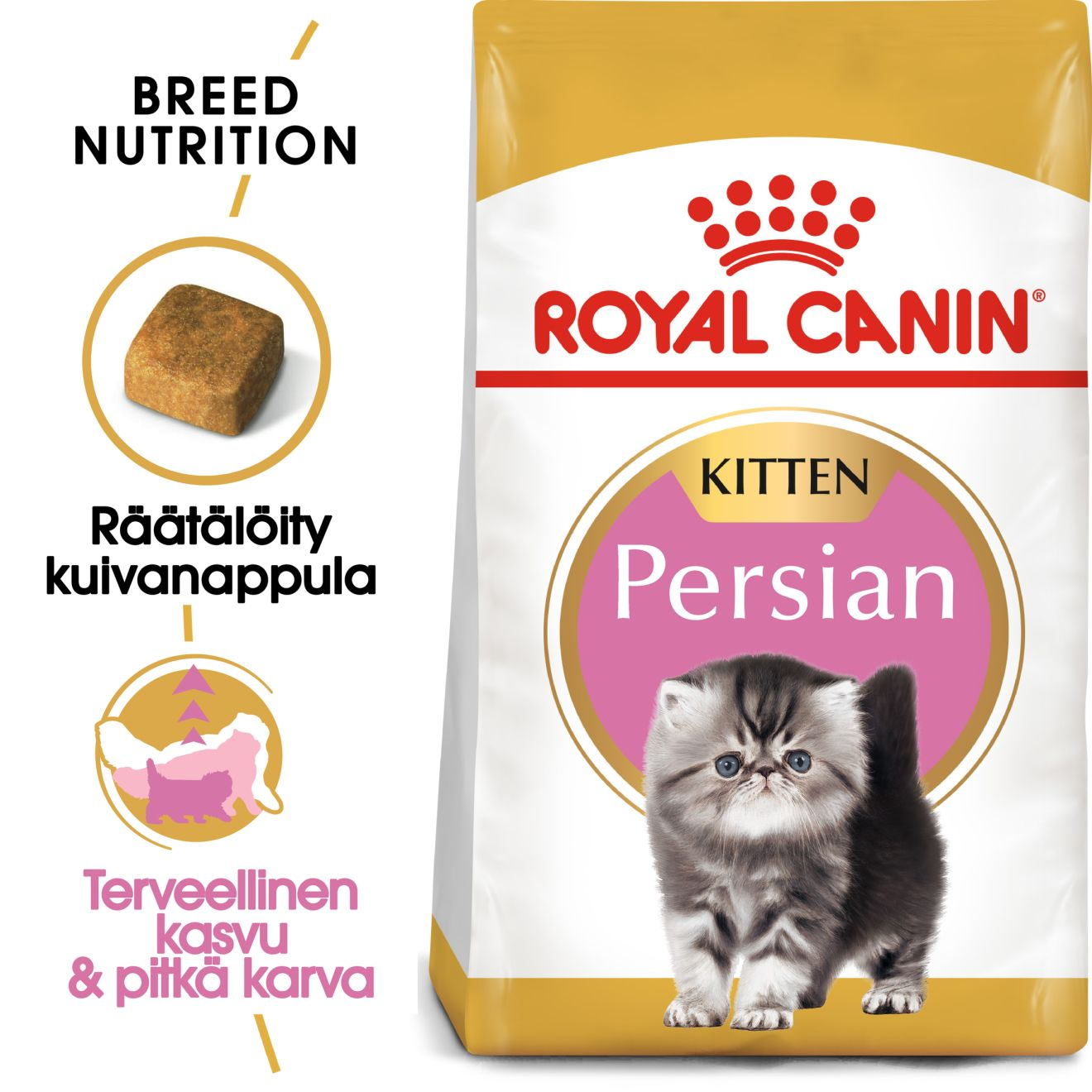 Royal Canin Persian Kitten kissanpennun kuivaruoka