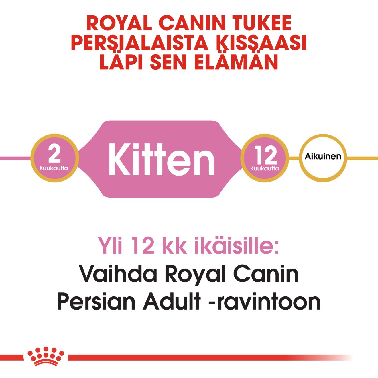 Royal Canin Persian Kitten kissanpennun kuivaruoka