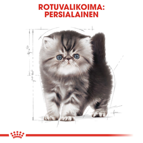 Royal Canin Persian Kitten kissanpennun kuivaruoka