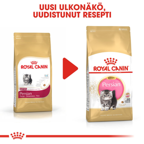 Royal Canin Persian Kitten kissanpennun kuivaruoka