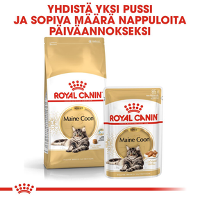 Royal Canin Maine Coon Adult kissan kuivaruoka