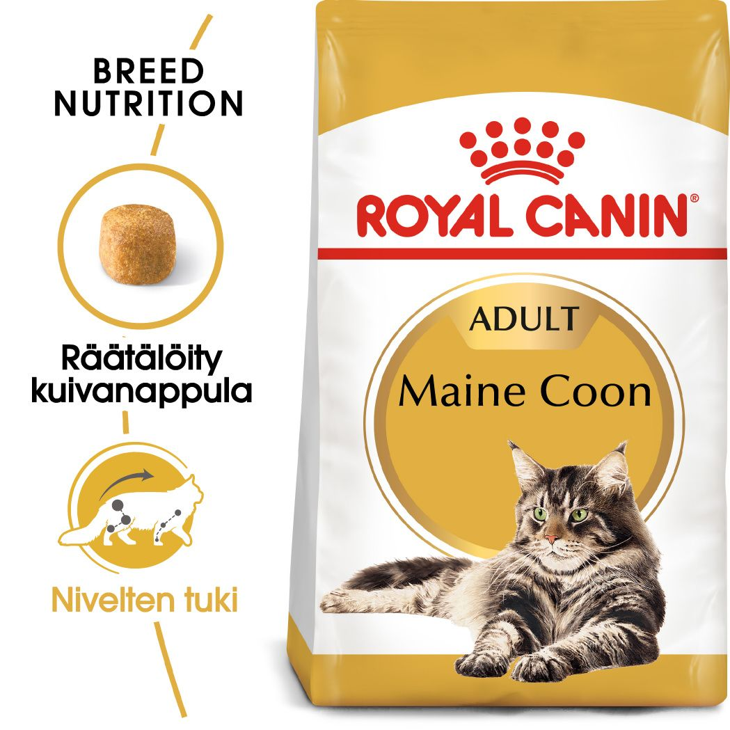 Royal Canin Maine Coon Adult kissan kuivaruoka