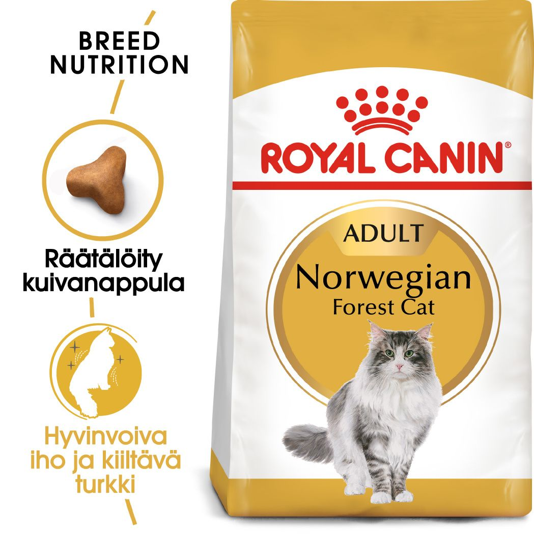 Royal Canin Norwegian Forest Cat Adult kissan kuivaruoka