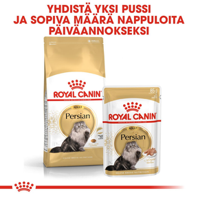 Royal Canin Persian Adult kissan kuivaruoka