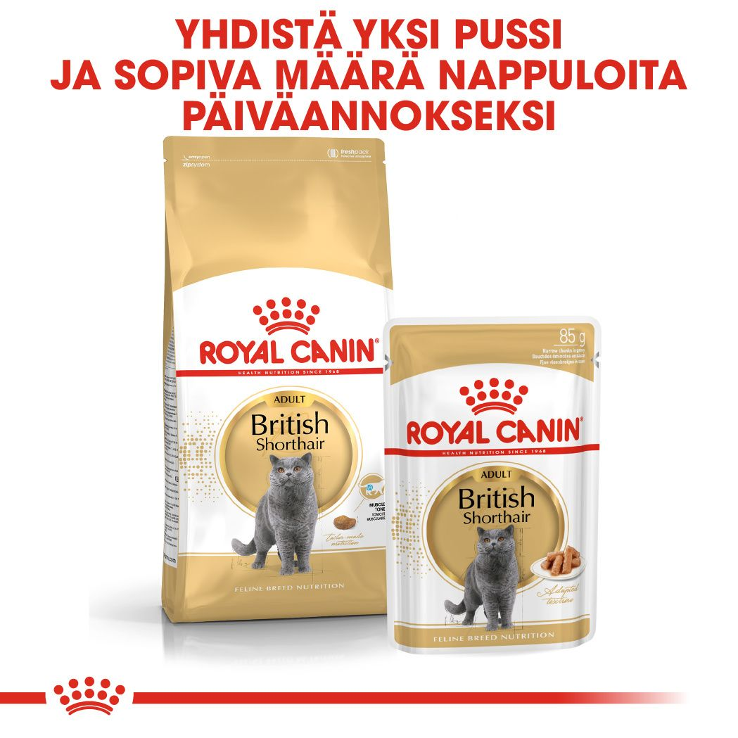 Royal Canin British Shorthair Adult Gravy kissan märkäruoka