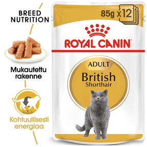 Royal Canin British Shorthair Adult Gravy kissan märkäruoka