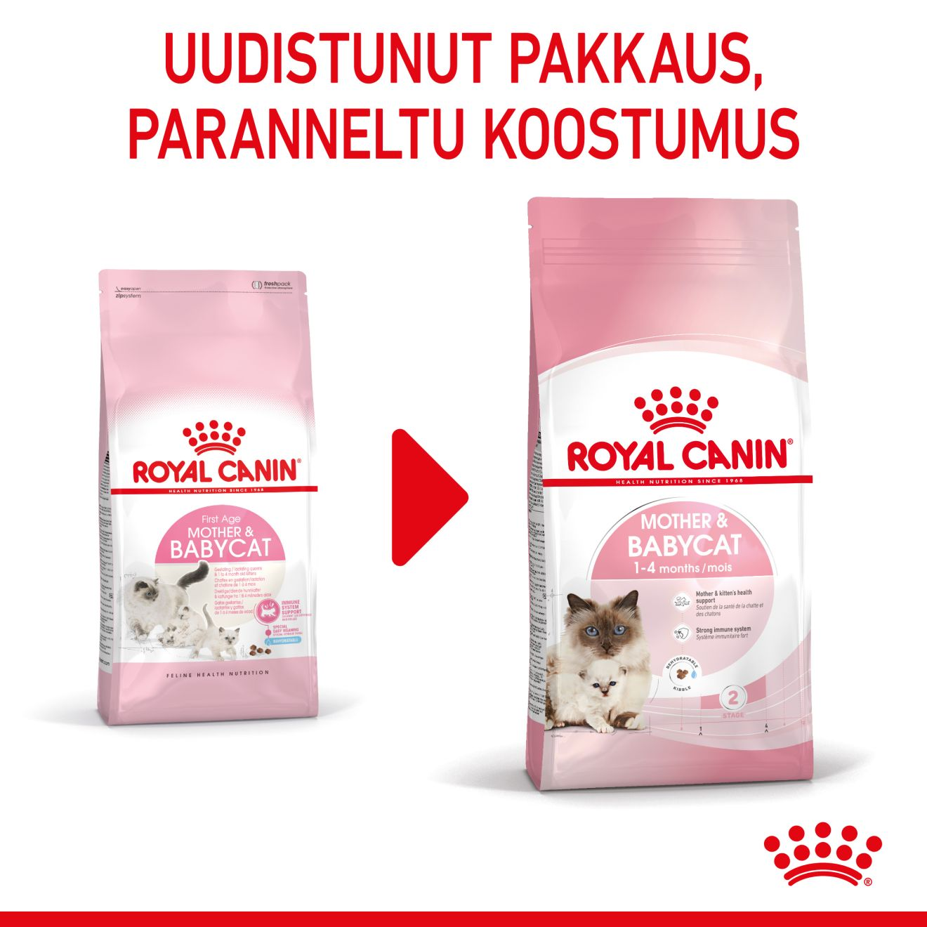 Royal Canin Mother & Babycat kissan ja kissanpennun kuivaruoka