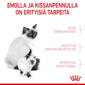 Royal Canin Mother & Babycat kissan ja kissanpennun kuivaruoka