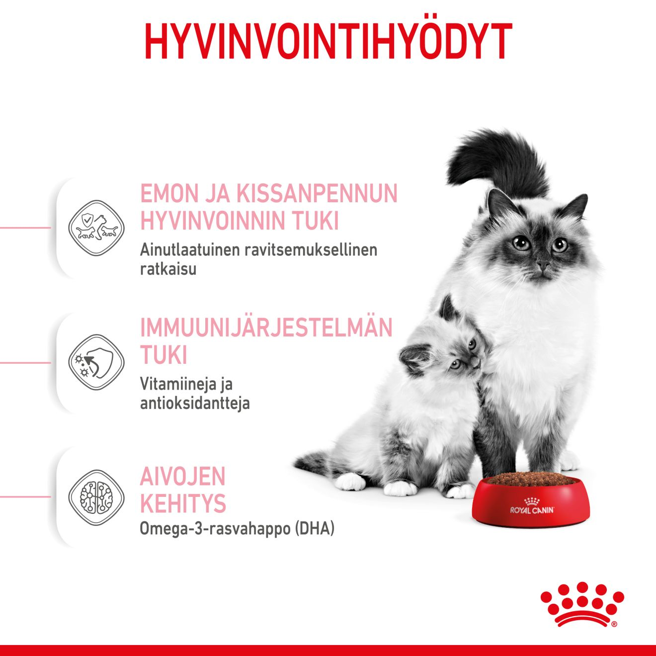 Royal Canin Mother & Babycat kissan ja kissanpennun kuivaruoka