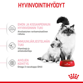 Royal Canin Mother & Babycat kissan ja kissanpennun kuivaruoka