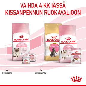 Royal Canin Mother & Babycat kissan ja kissanpennun kuivaruoka