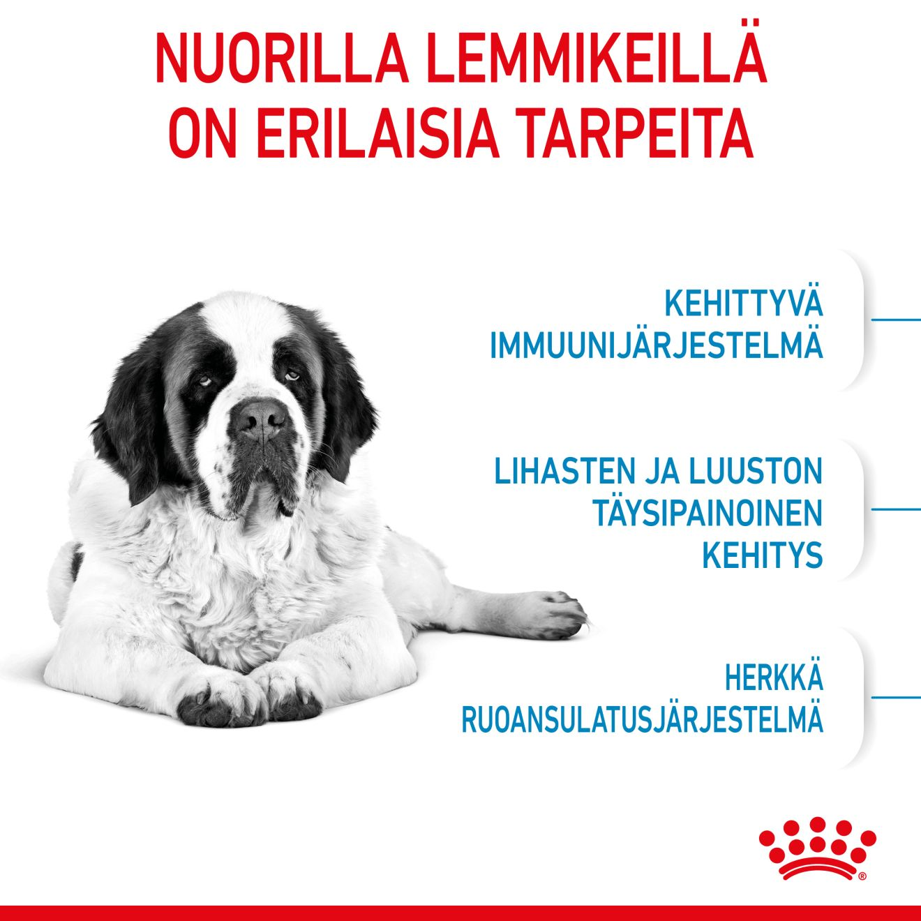 Royal Canin Giant Junior koiranpennun kuivaruoka