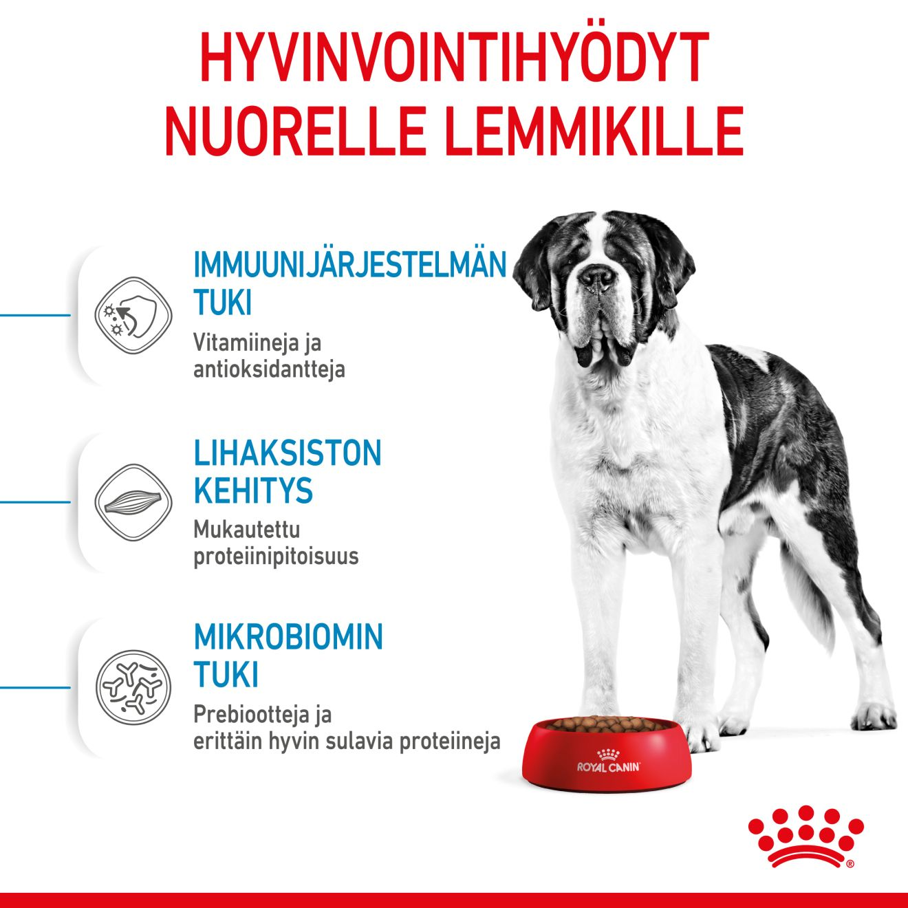 Royal Canin Giant Junior koiranpennun kuivaruoka