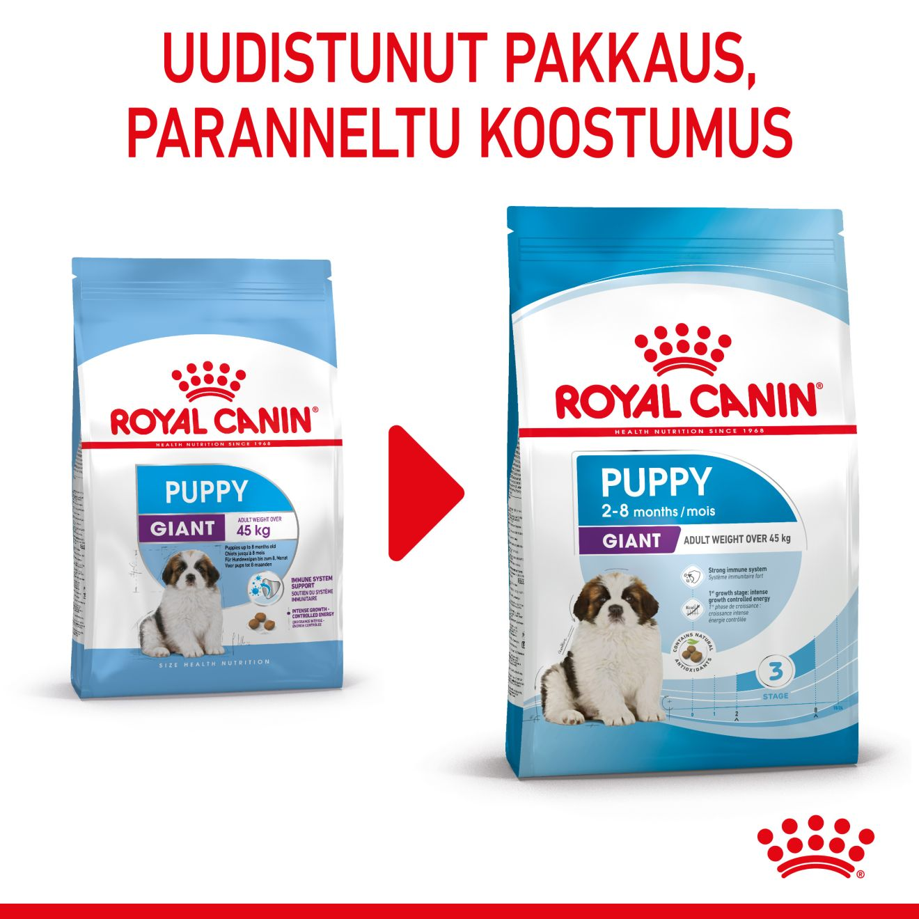 Royal Canin Giant Puppy koiranpennun kuivaruoka