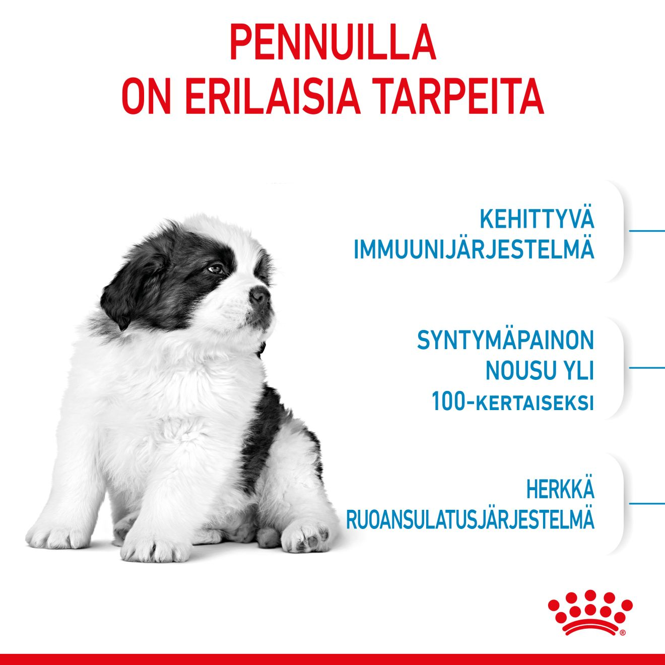 Royal Canin Giant Puppy koiranpennun kuivaruoka