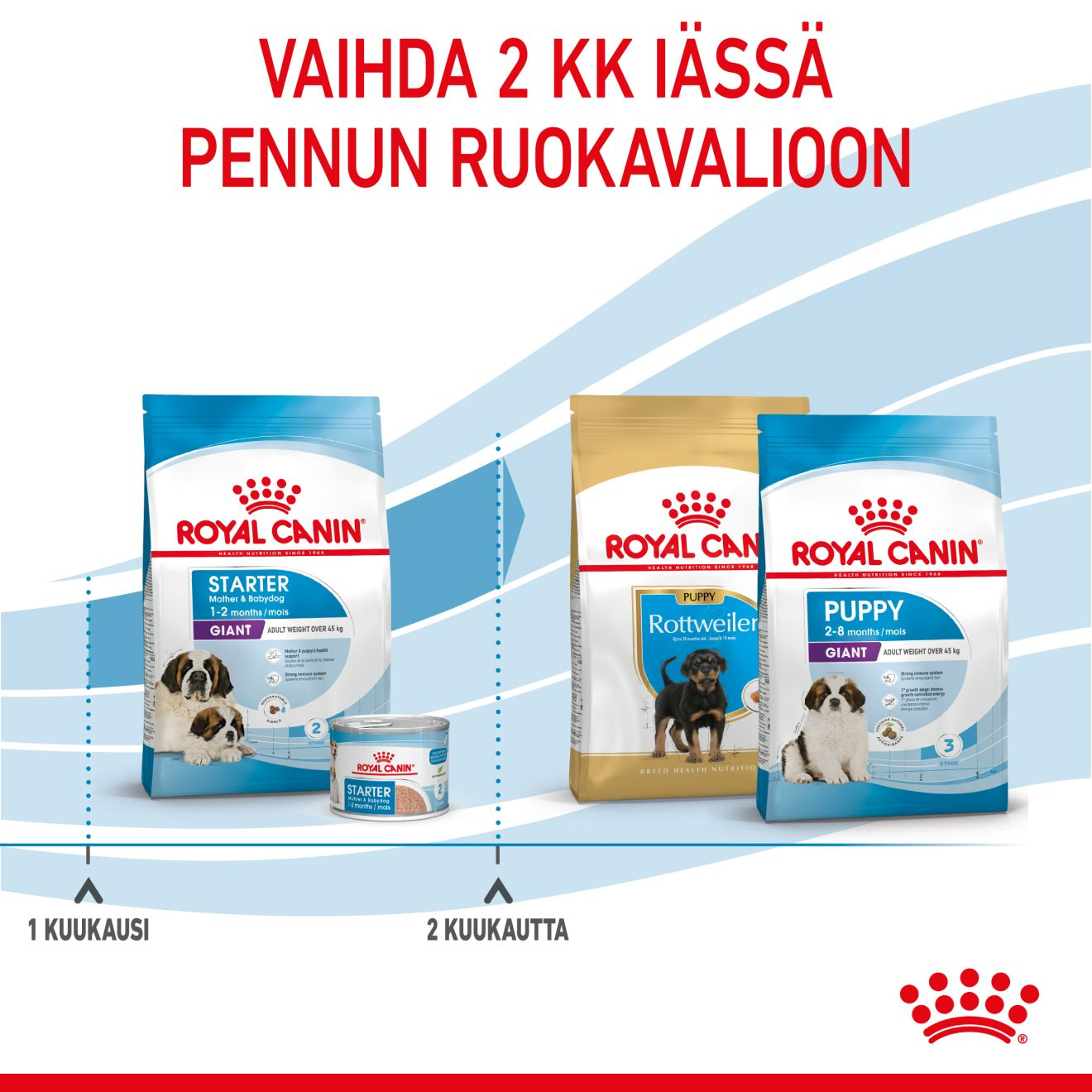 Royal Canin Giant Starter koiranpennun kuivaruoka