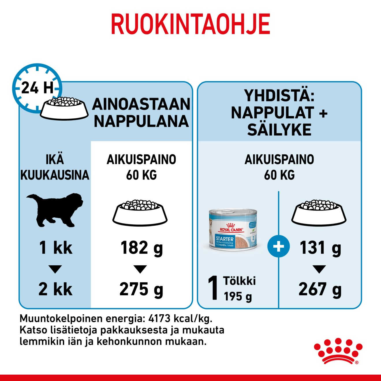 Royal Canin Giant Starter koiranpennun kuivaruoka