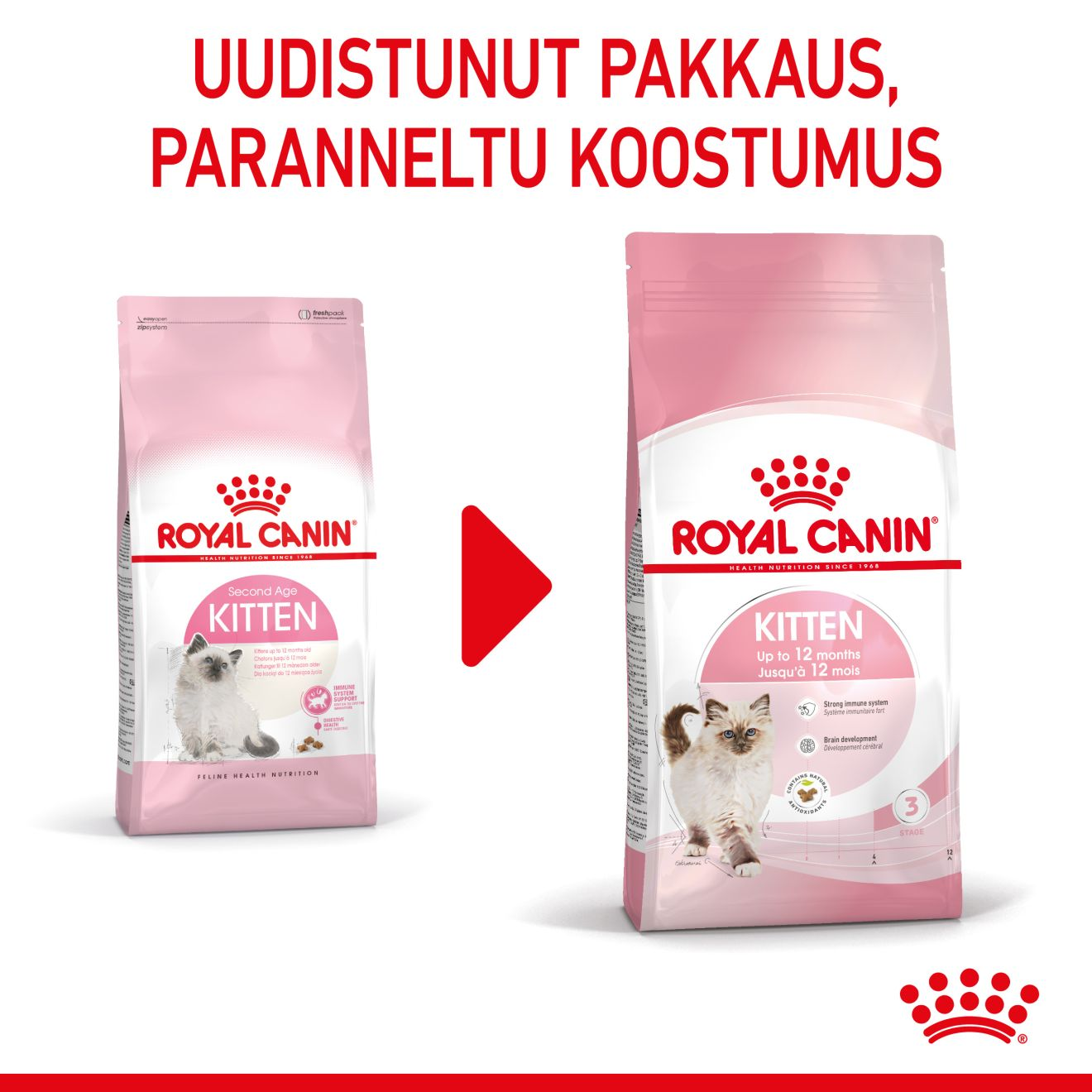 Royal Canin Kitten kissanpennun kuivaruoka