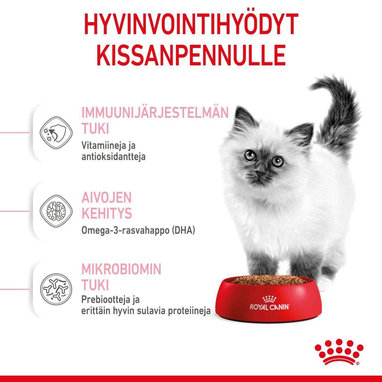 Royal Canin Kitten kissanpennun kuivaruoka