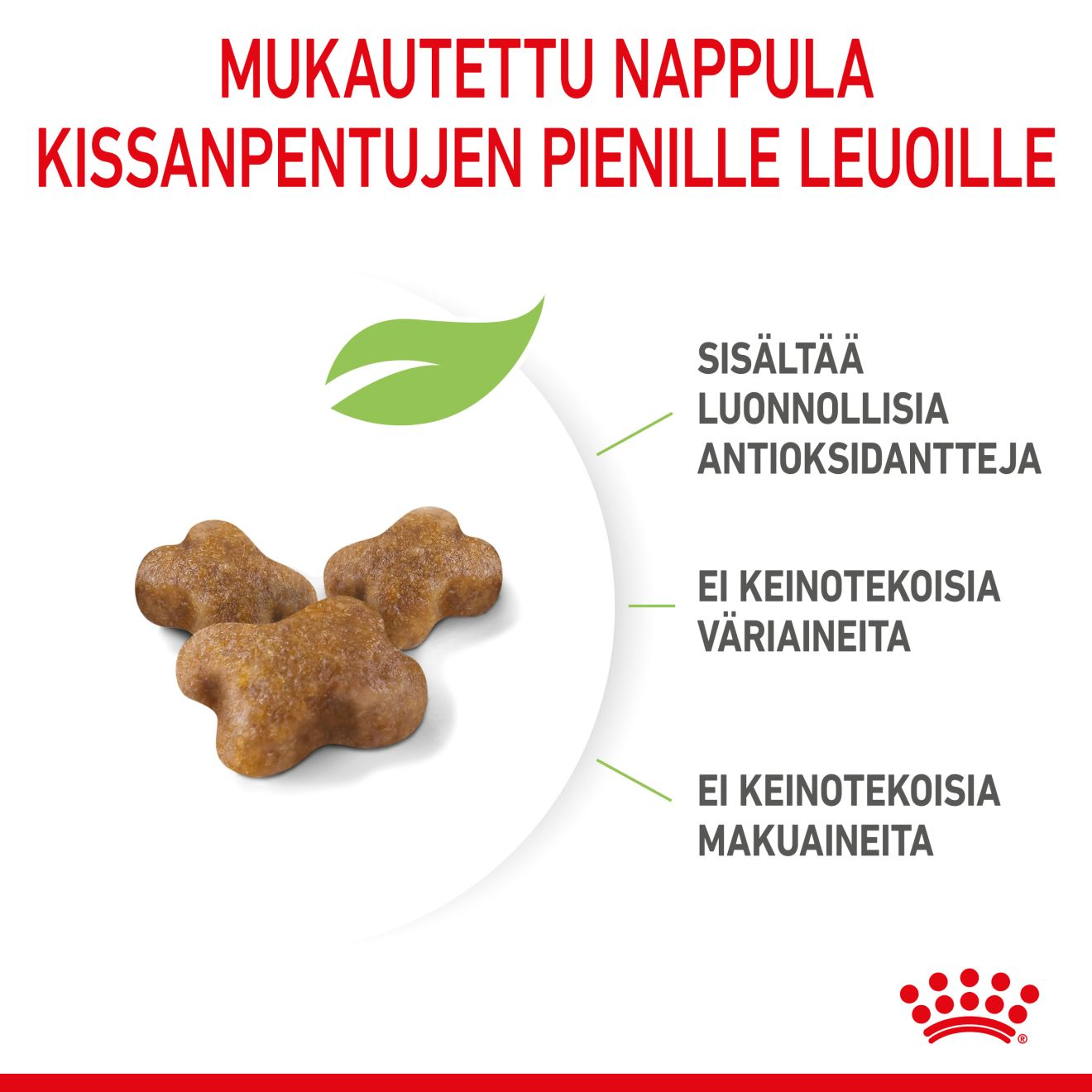 Royal Canin Kitten kissanpennun kuivaruoka