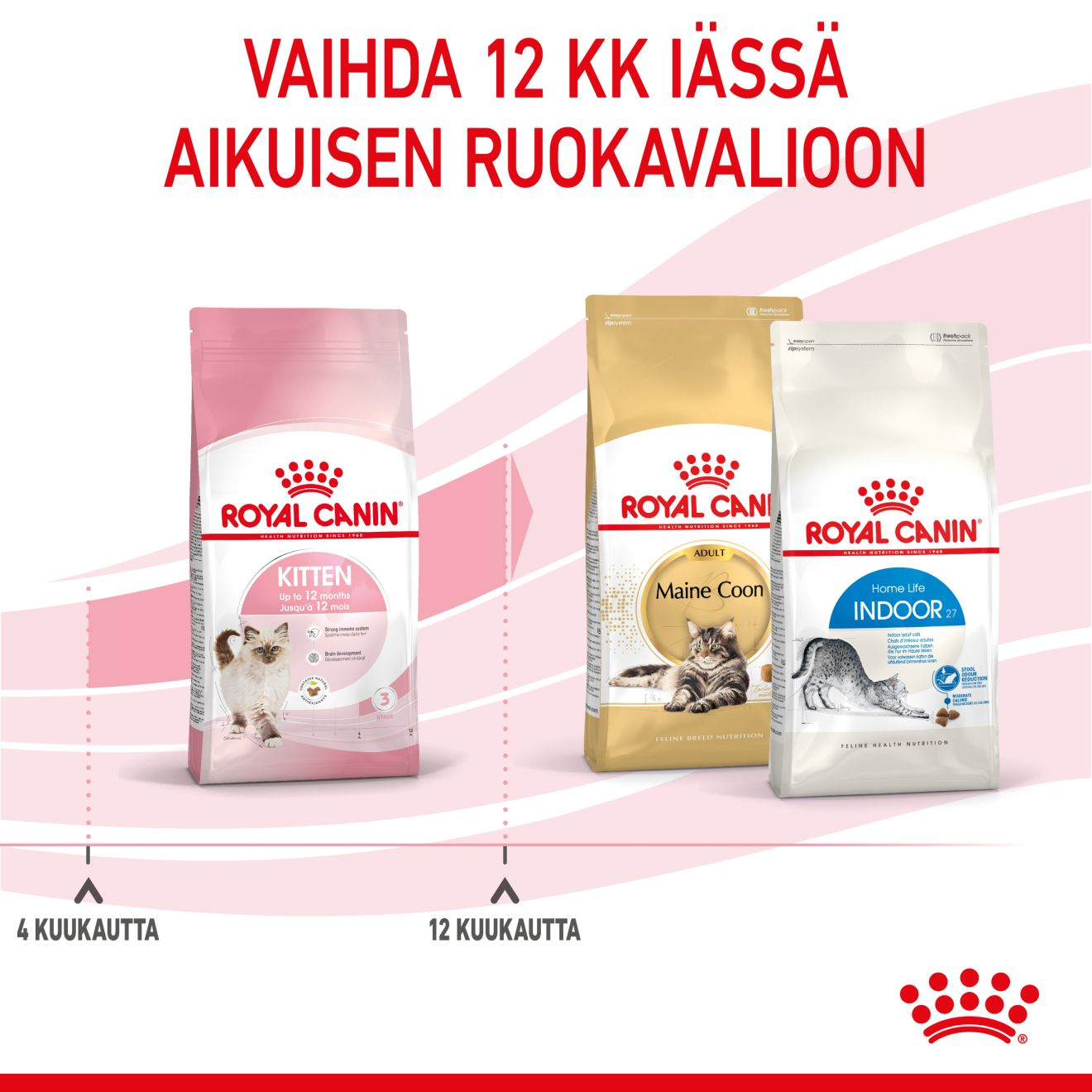 Royal Canin Kitten kissanpennun kuivaruoka