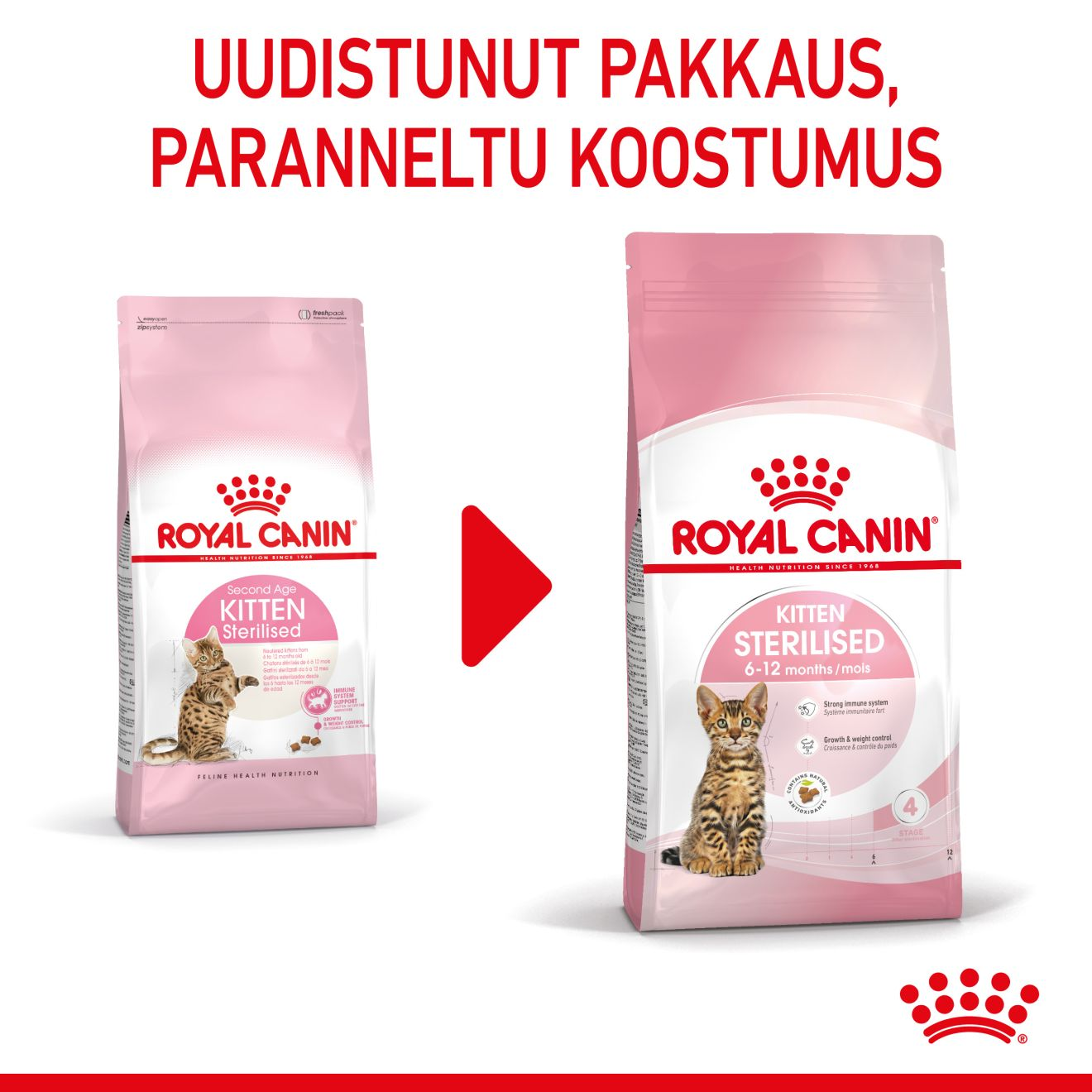 Royal Canin Kitten Sterilised kissanpennun kuivaruoka