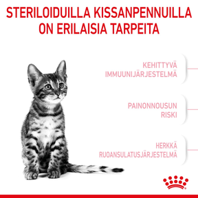 Royal Canin Kitten Sterilised kissanpennun kuivaruoka