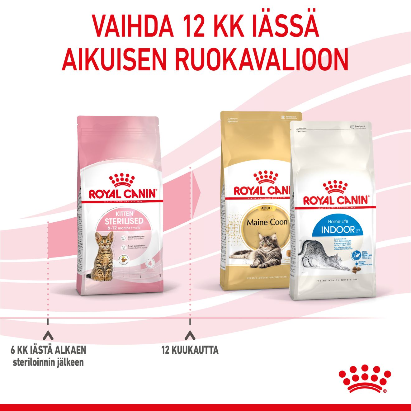 Royal Canin Kitten Sterilised kissanpennun kuivaruoka