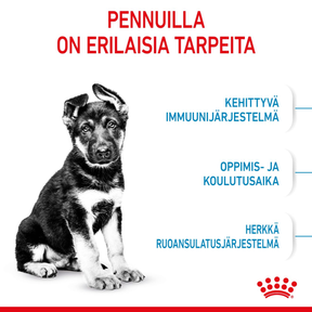 Royal Canin Maxi Puppy koiranpennun kuivaruoka