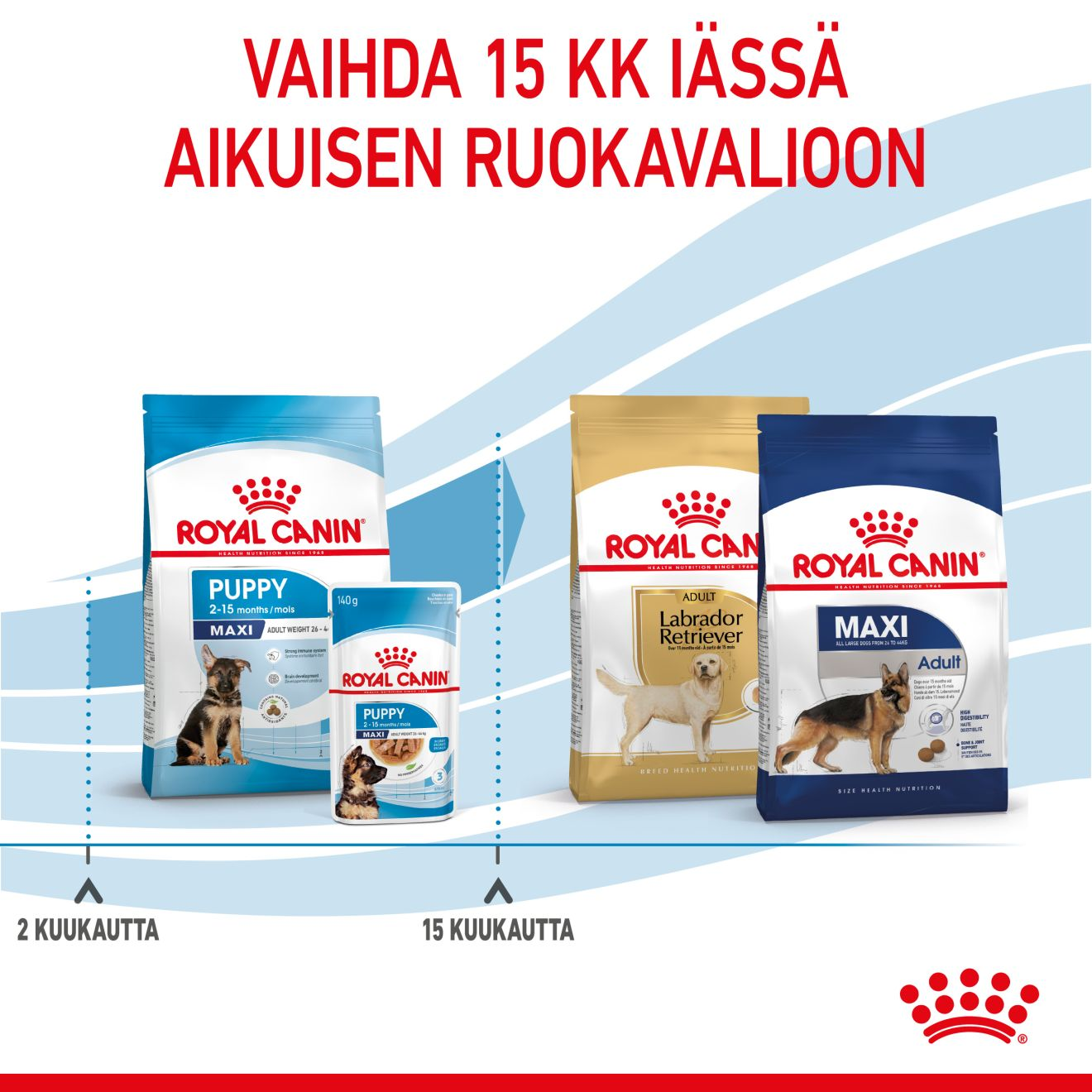 Royal Canin Maxi Puppy koiranpennun kuivaruoka