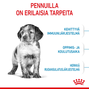 Royal Canin Medium Puppy koiranpennun kuivaruoka