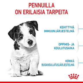 Royal Canin Mini Puppy koiranpennun kuivaruoka