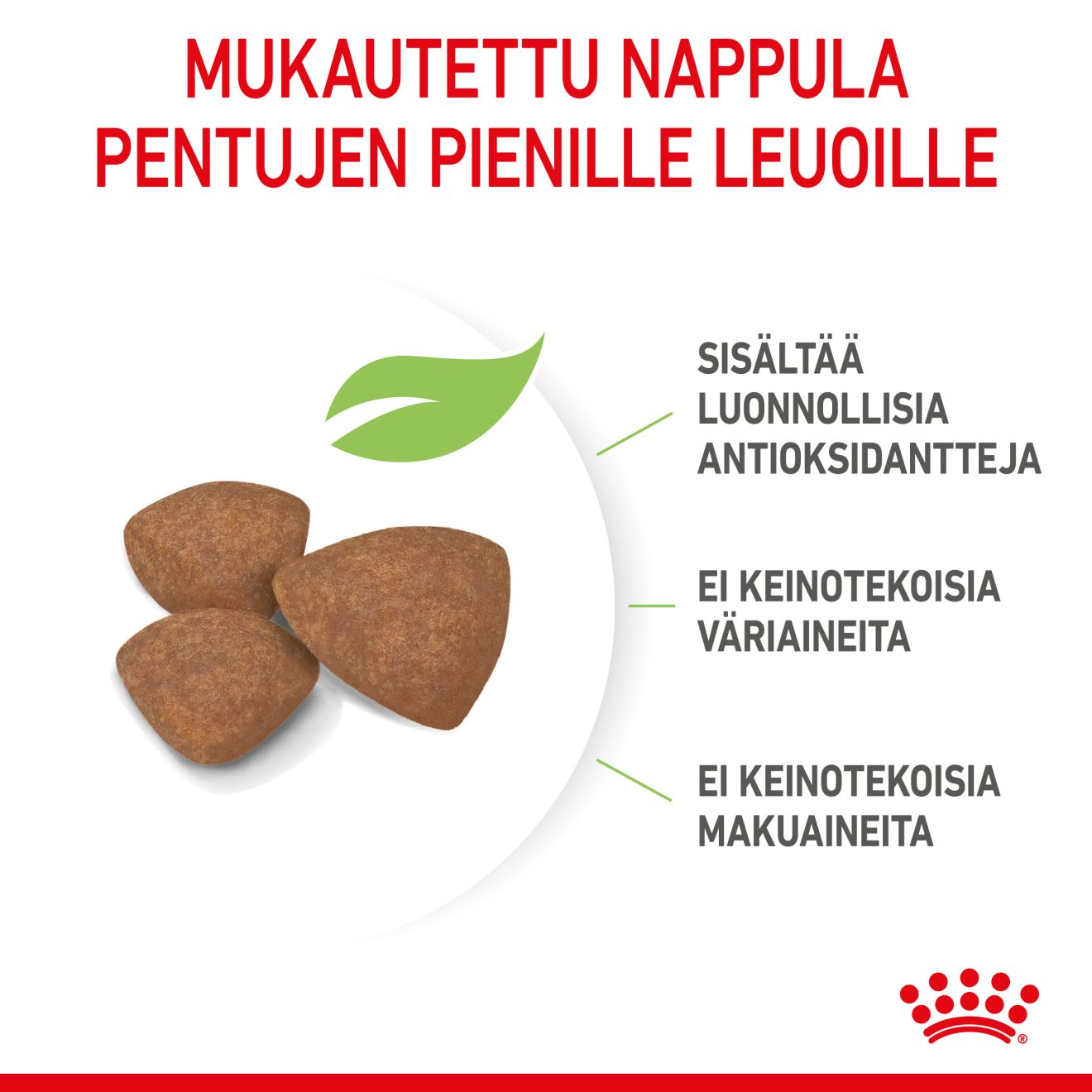 Royal Canin Mini Puppy koiranpennun kuivaruoka