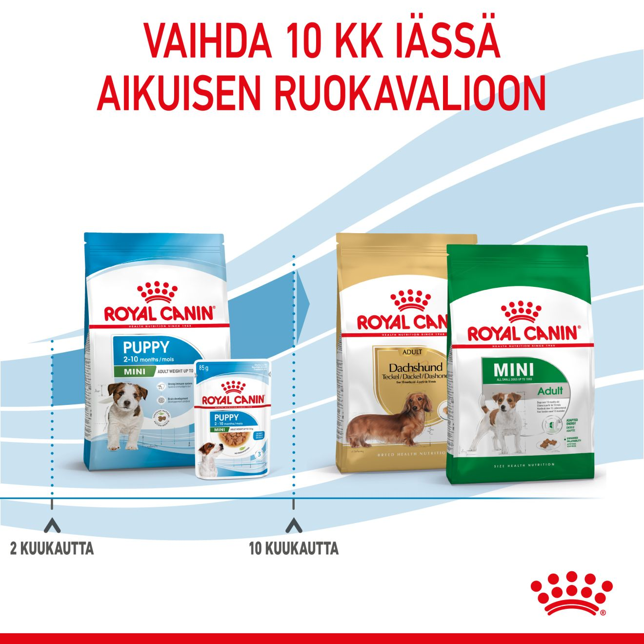 Royal Canin Mini Puppy koiranpennun kuivaruoka