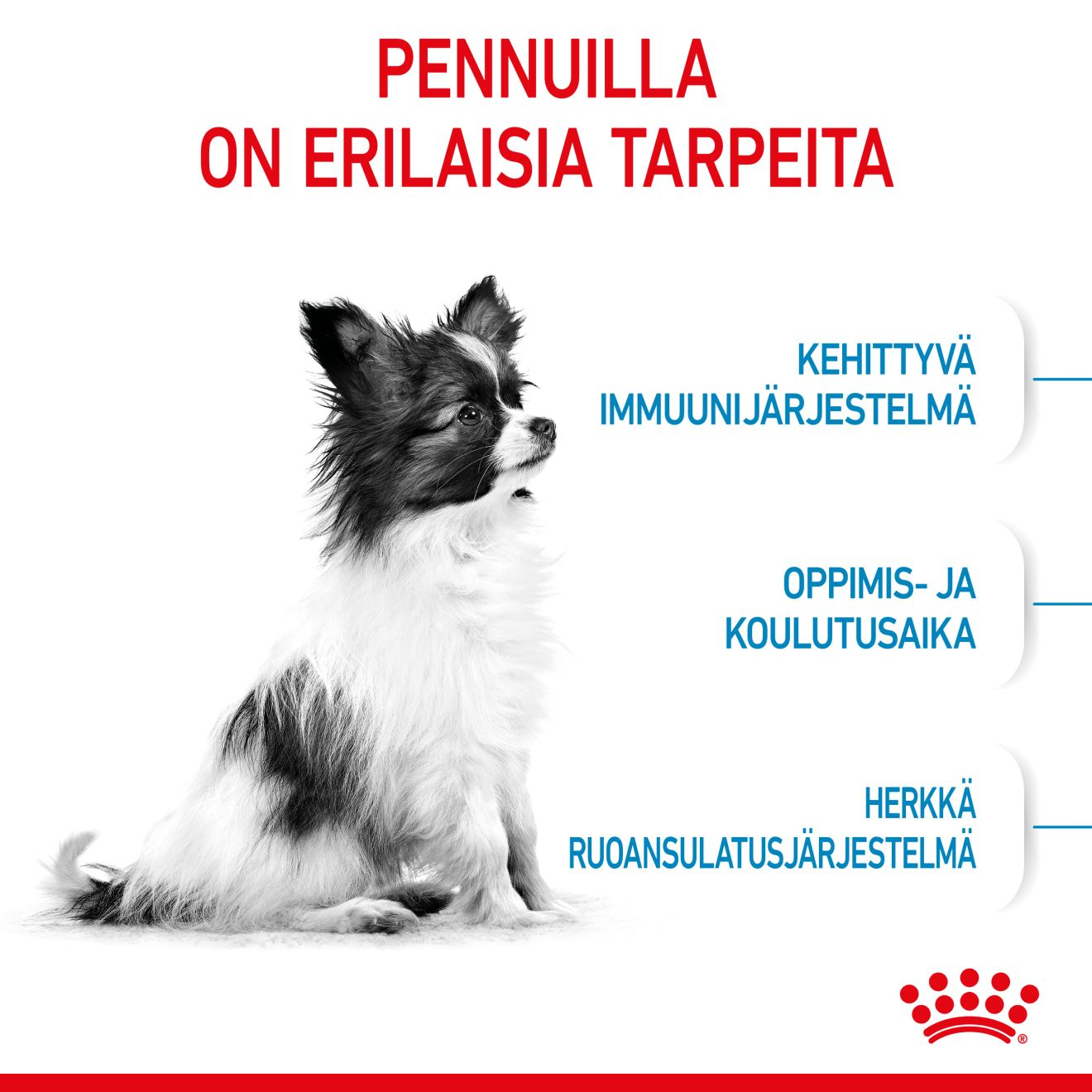 Royal Canin X-small Puppy koiranpennun kuivaruoka