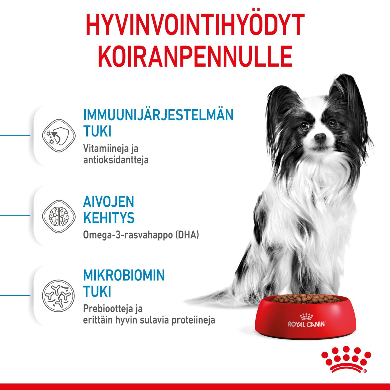 Royal Canin X-small Puppy koiranpennun kuivaruoka