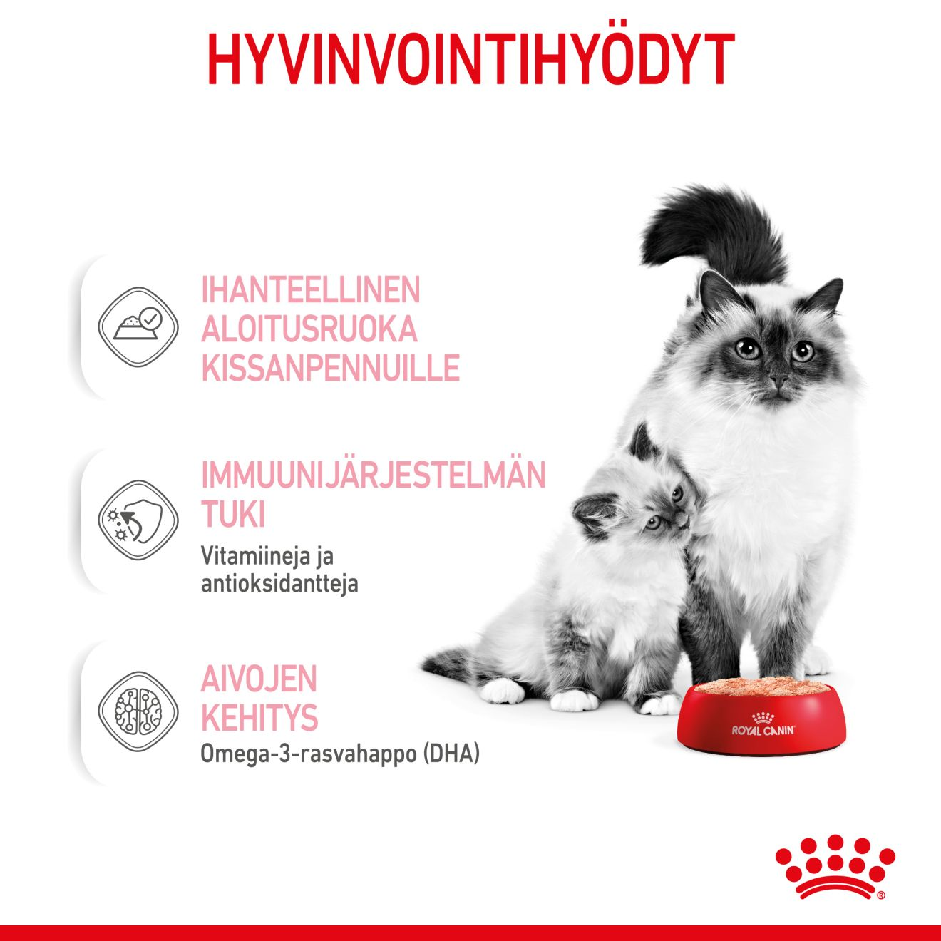 Royal Canin Mother & Babycat kissan ja kissanpennun märkäruoka