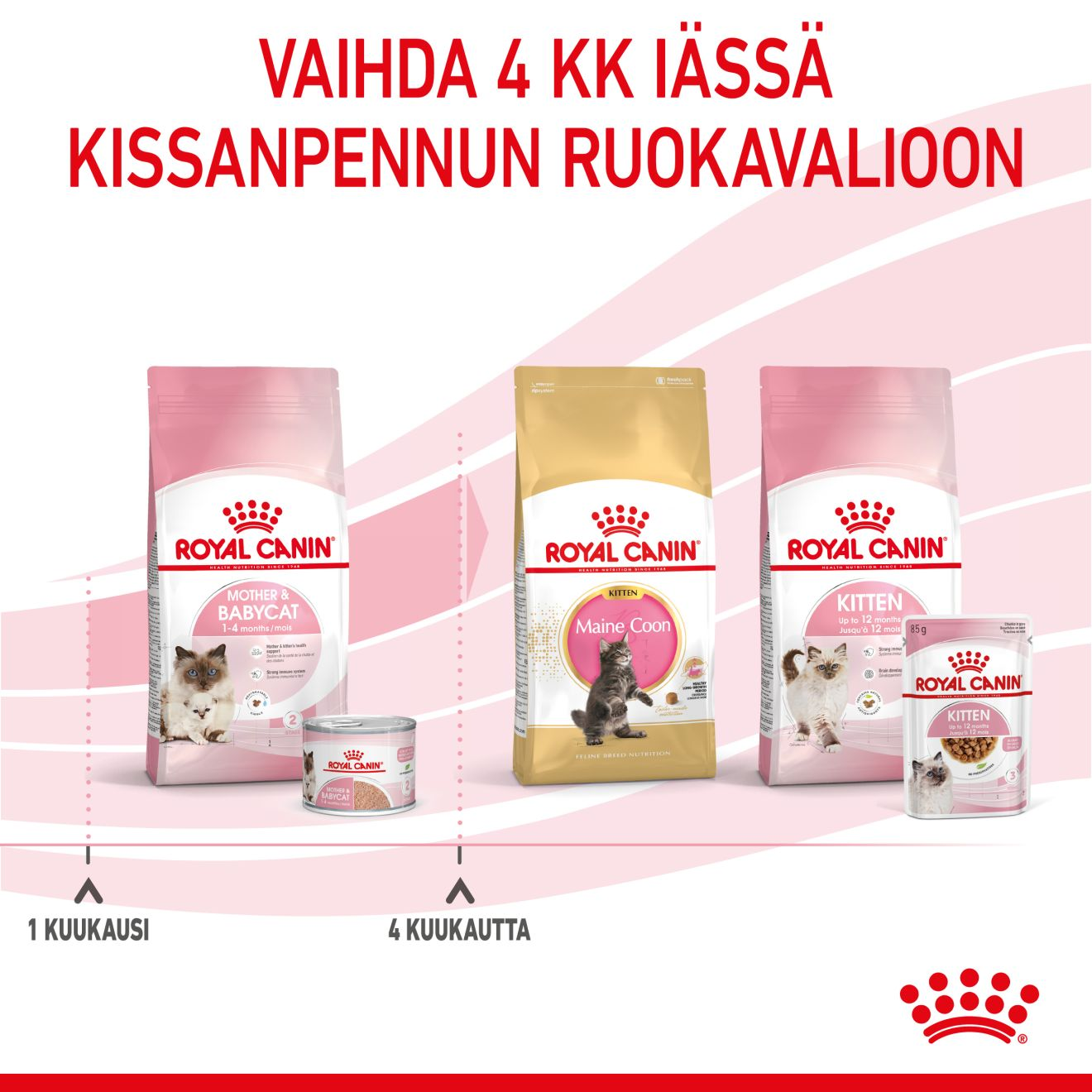 Royal Canin Mother & Babycat kissan ja kissanpennun märkäruoka