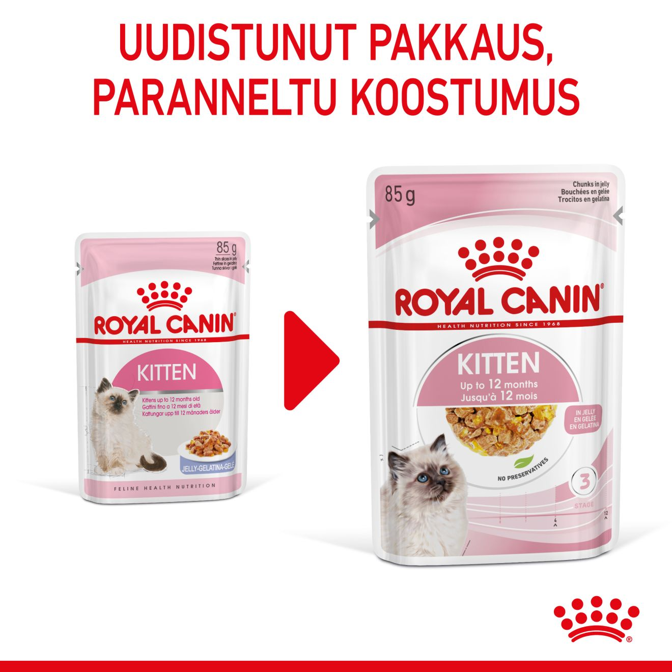 Royal Canin Kitten Jelly kissanpennun märkäruoka