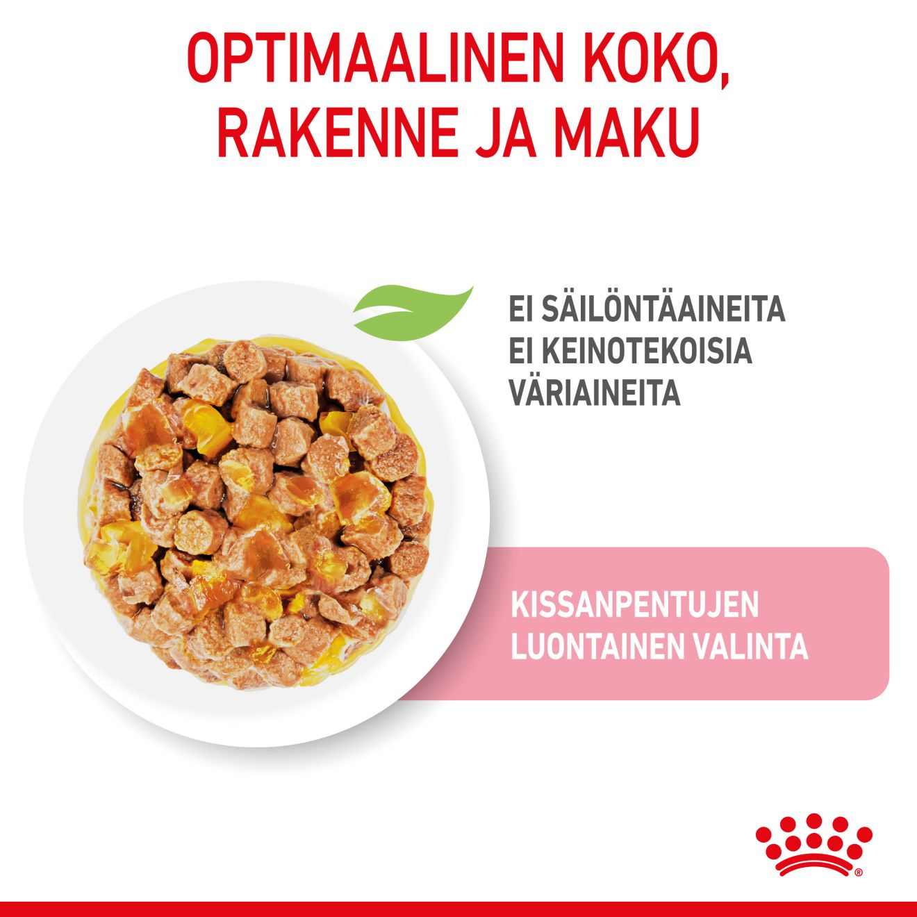 Royal Canin Kitten Jelly kissanpennun märkäruoka